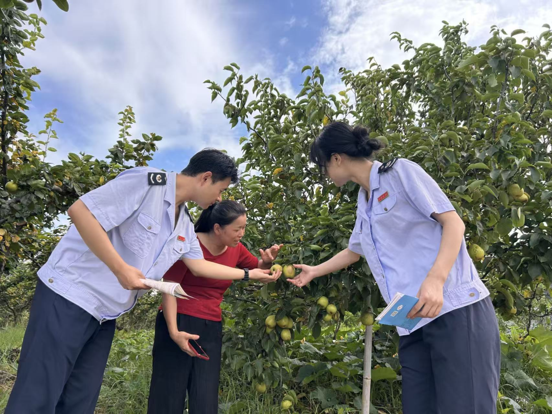 税务合规规范辅导(税务合规的规则体系)新乡市 税务合规规范辅导(税务合规的规则体系)新乡市