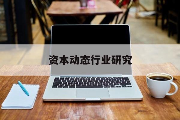 资本动态行业研究(资本动态行业研究论文)新乡市