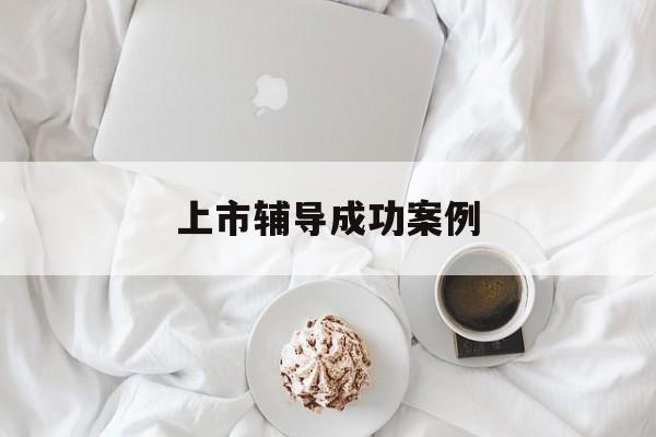 上市辅导成功案例(上市辅导成功后肯定会上市吗)新乡市