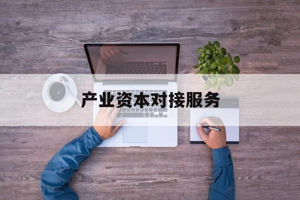 产业资本对接服务(产业资本对接服务包括哪些)新乡市