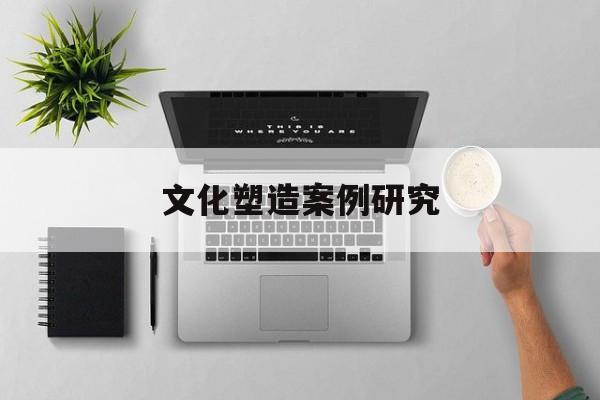 文化塑造案例研究(文化塑造案例研究报告)新乡市